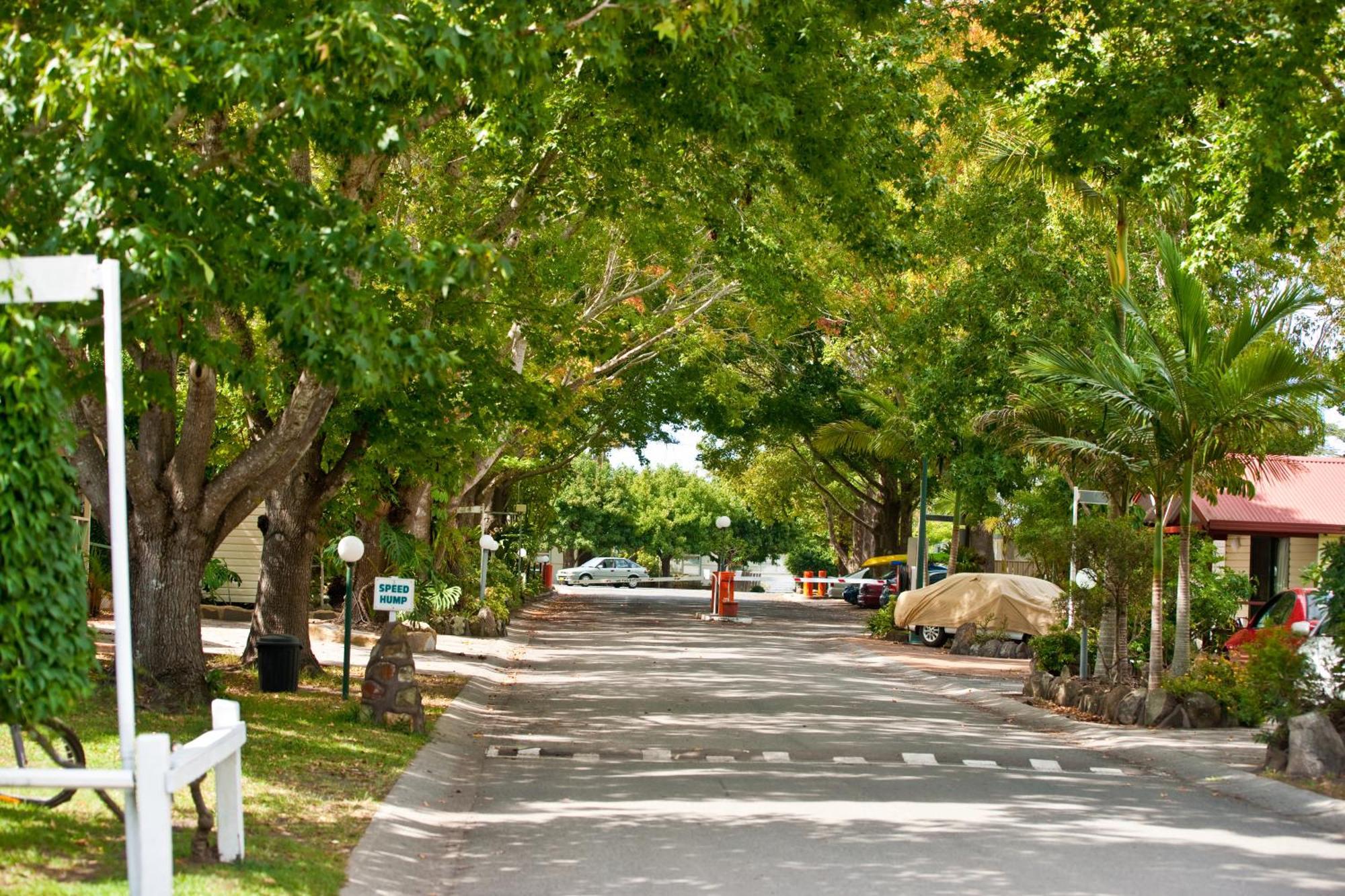 Lani'S Holiday Island Forster Εξωτερικό φωτογραφία